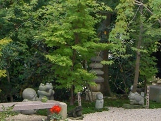 かえる寺　如意輪寺