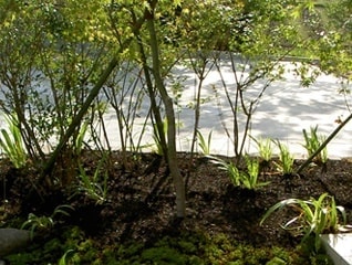 一般住宅・その他